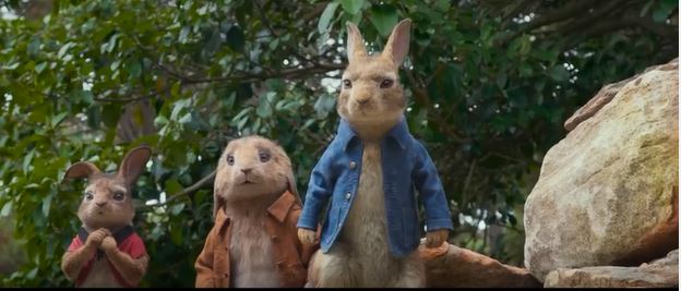 Pierre Lapin