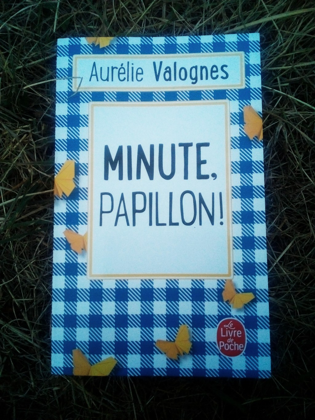 J&rsquo;ai lu : Minute, papillon ! (Aurélie Valognes,&nbsp;2018)