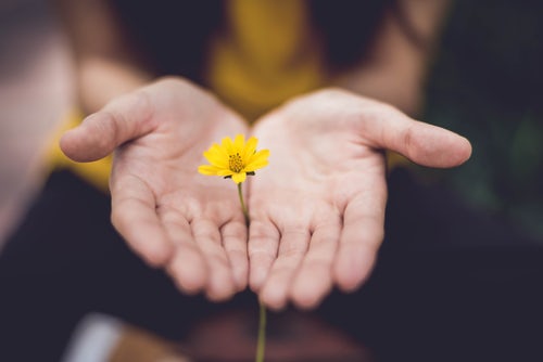Mieux vivre : Et si on cultivait la bienveillance&nbsp;?